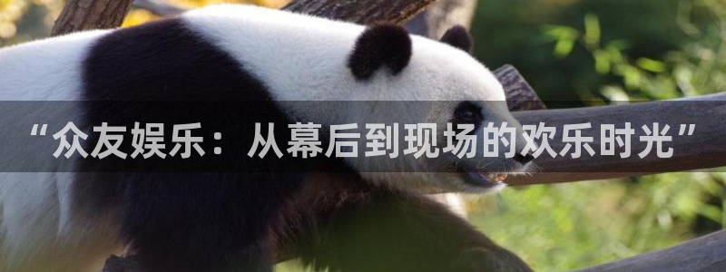 益达娱乐代理：“众友娱乐：从幕后到现场的欢乐时光”