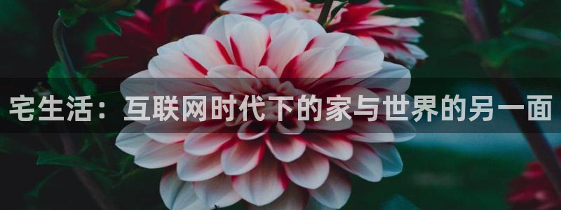 益达官方网站：宅生活：互联网时代下的家与世界的另一面